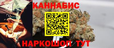 гидра Будённовск