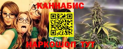 гидра Будённовск