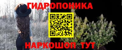 гидра Будённовск