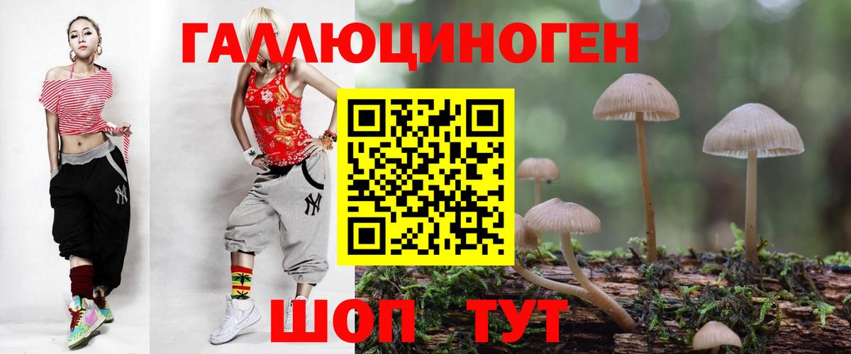 Псилоцибиновые грибы Psilocybine cubensis  где продают   Коммунар  Вход с VPN 